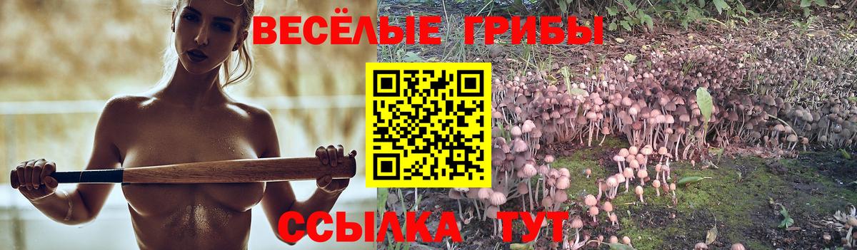 Новодвинск  Галлюциногенные грибы мухоморы  Вход с VPN 